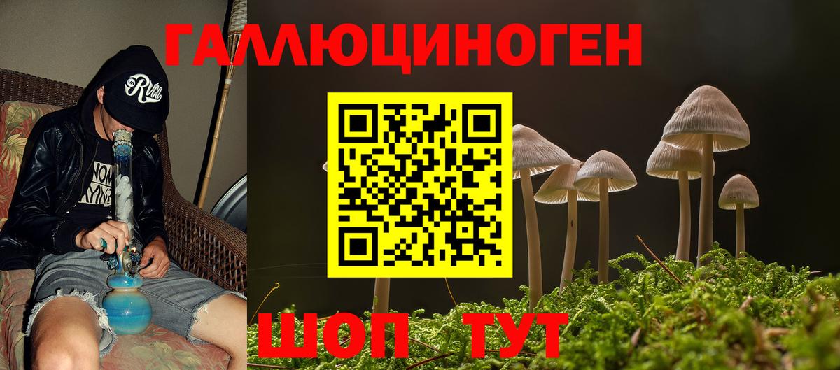 Галлюциногенные грибы Magic Shrooms  где купить наркоту  Россошь  Вход с VPN 